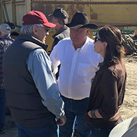 Crowd at auction